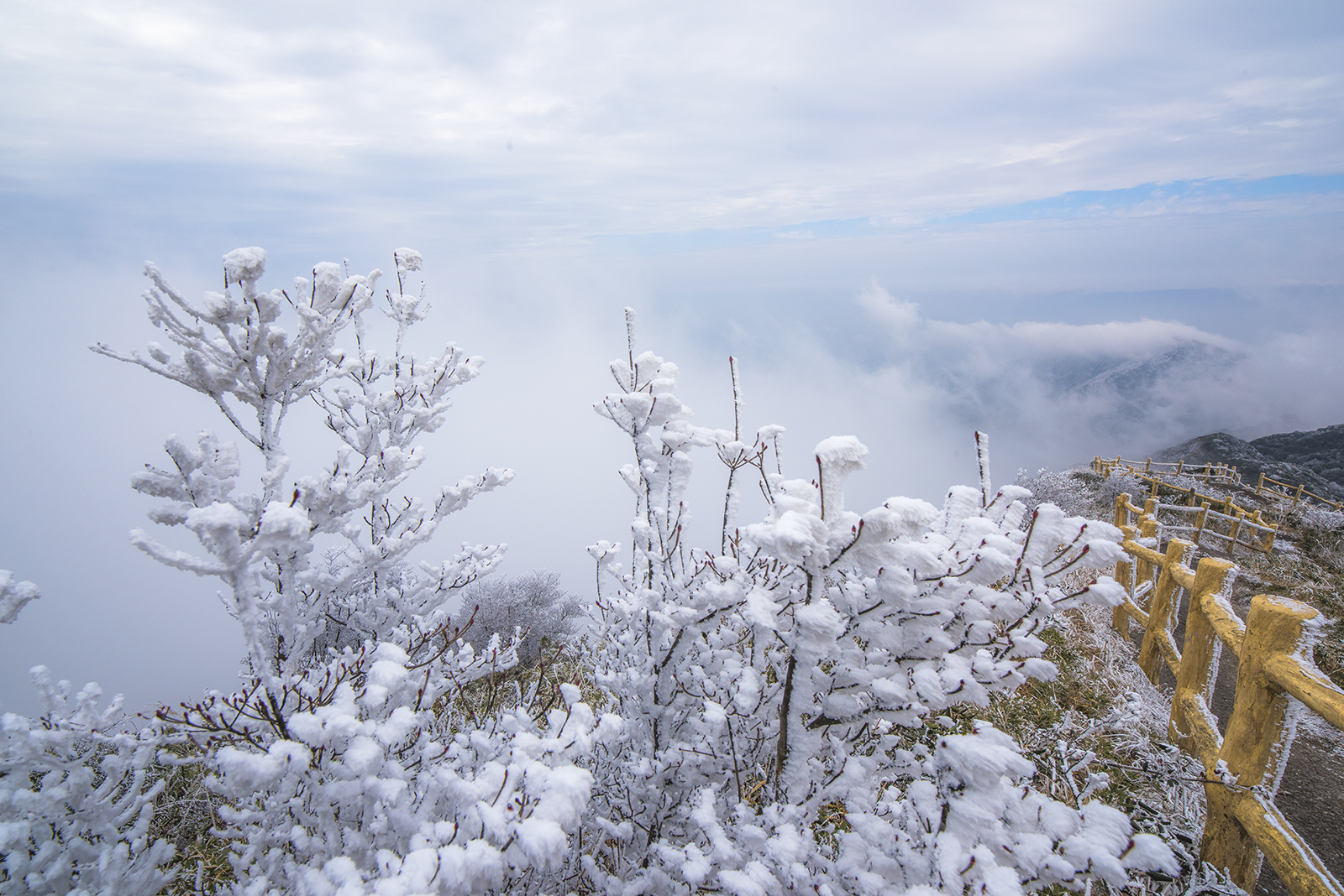 猫儿山 雪