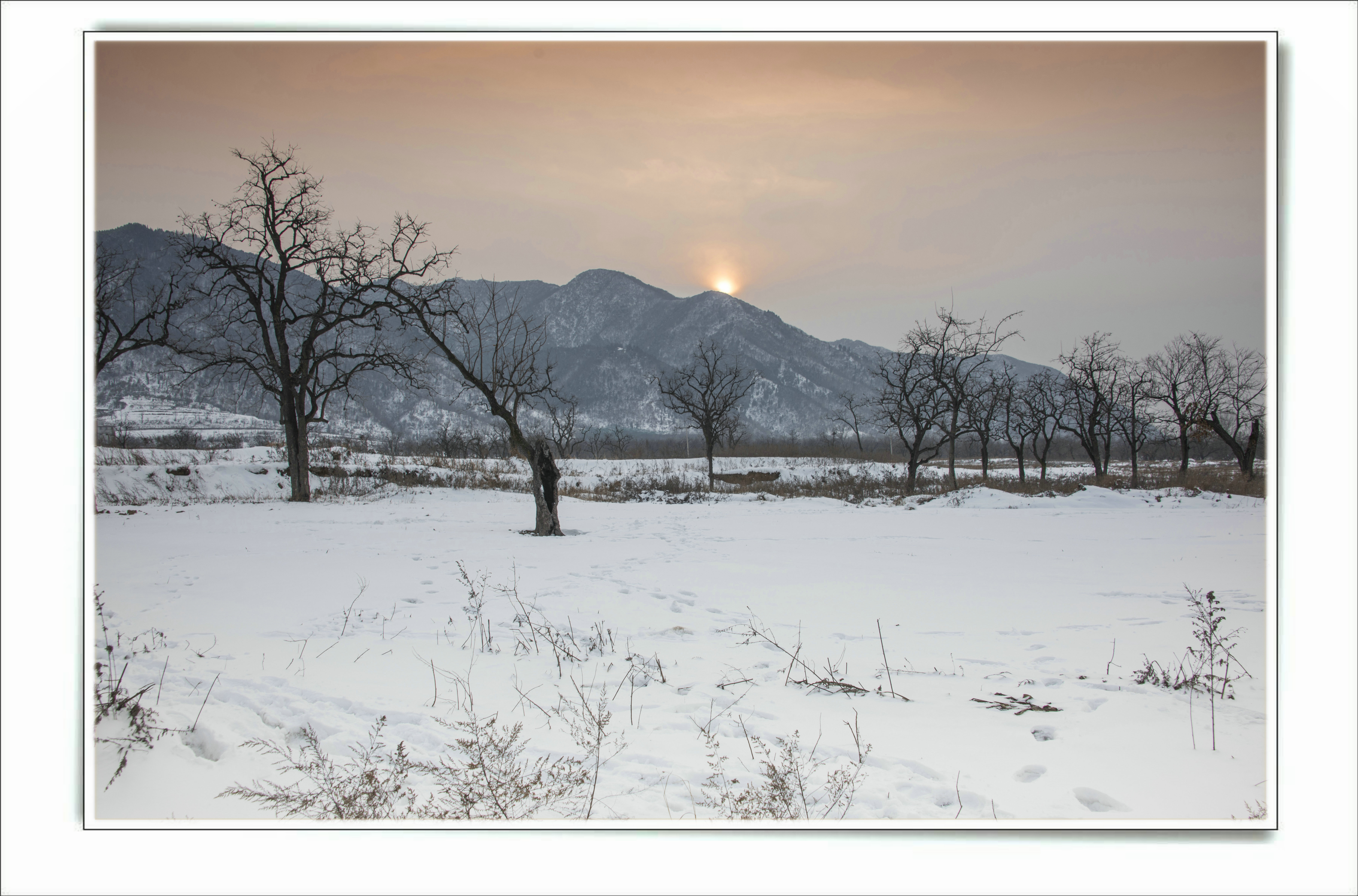 雪野夕阳