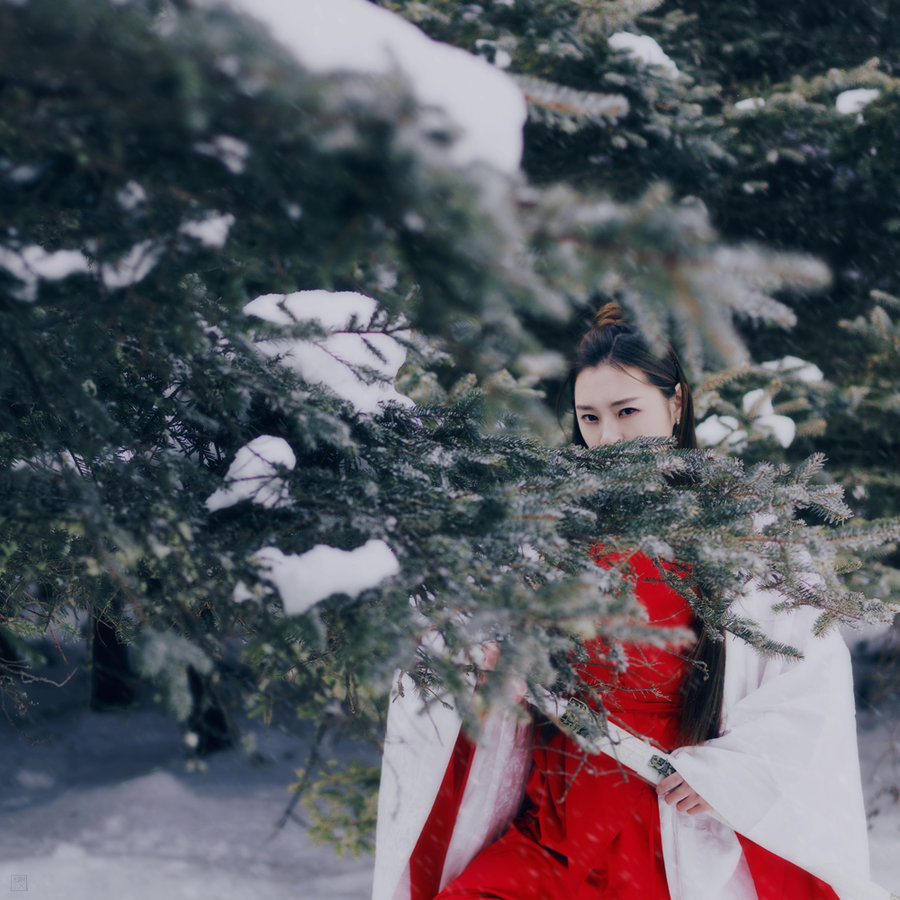 暮雪歌