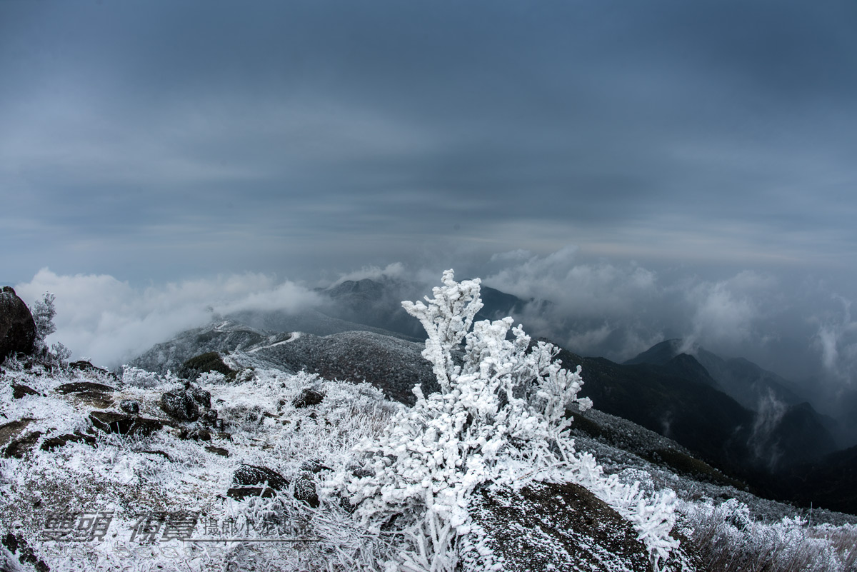 [风光摄影] [2016年的那场雪]瑞雪兆丰年