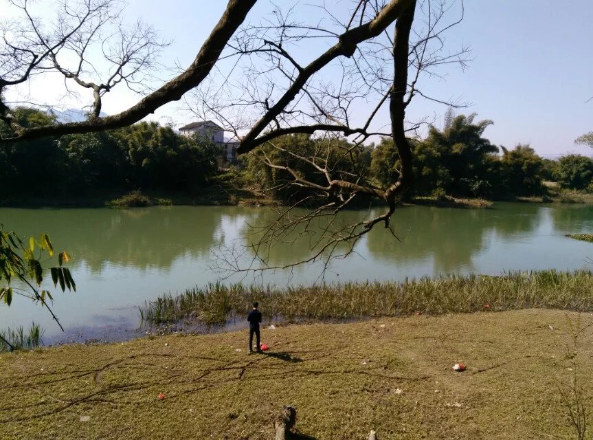 2016年家乡风景
