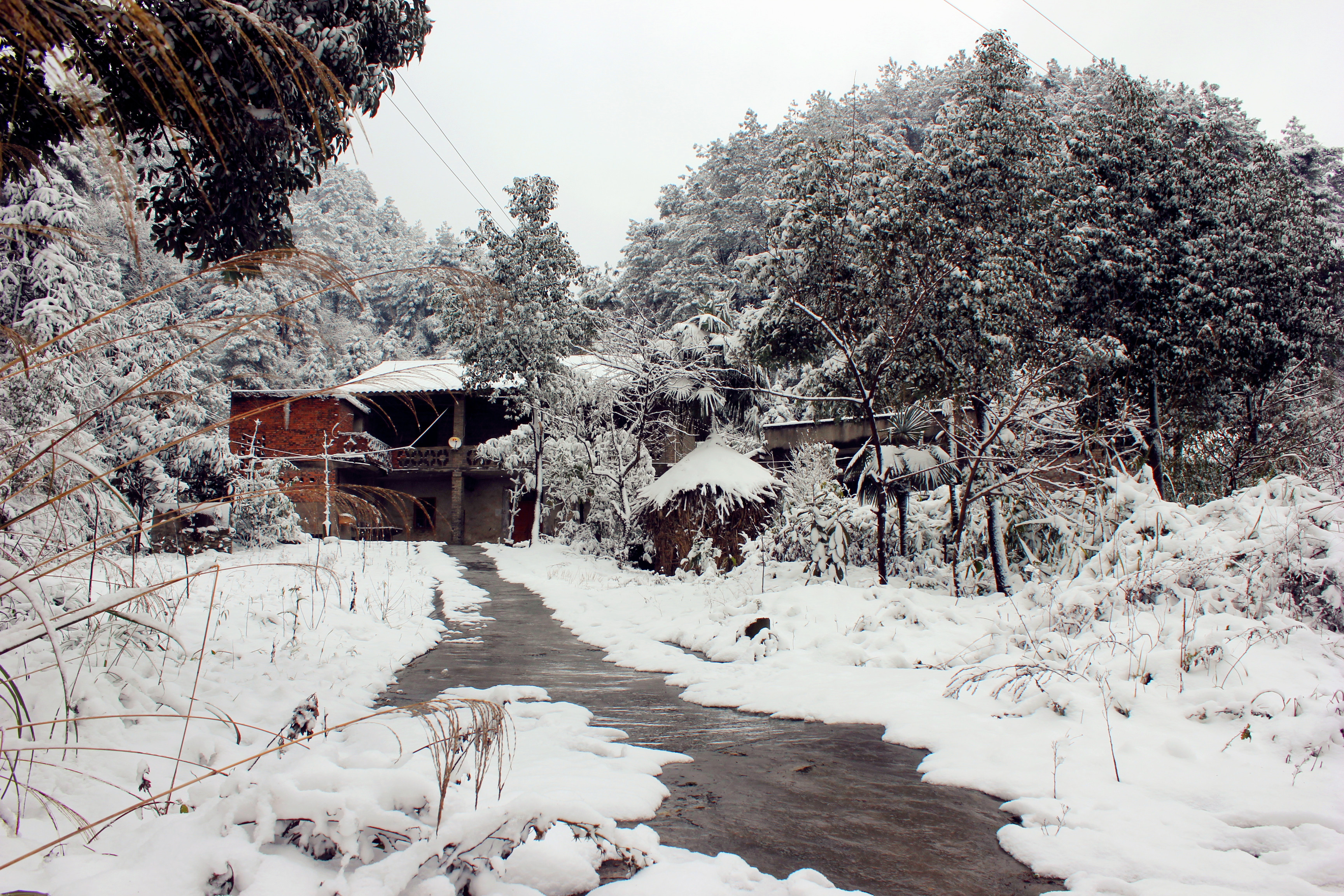 南方的雪