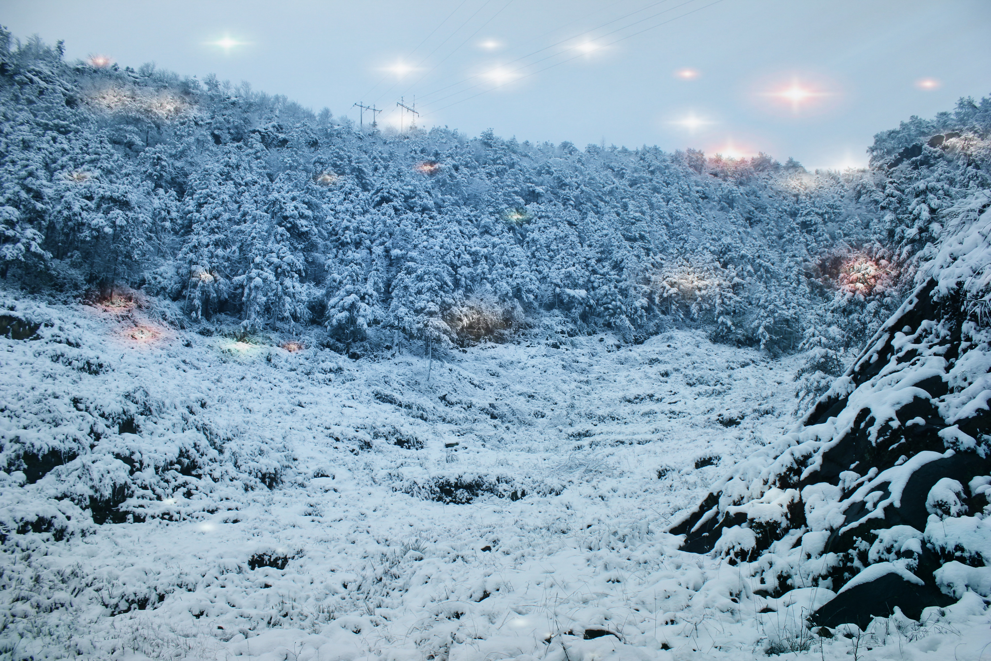 南方的雪