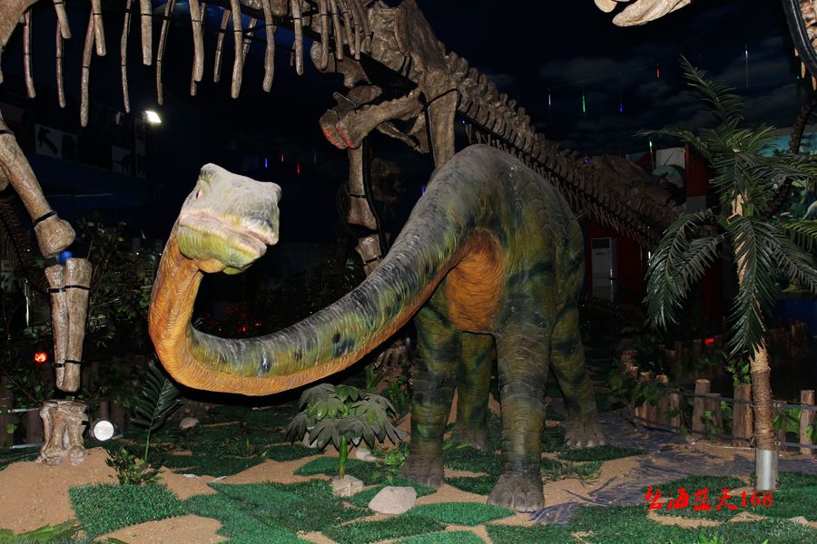 诸城恐龙博物馆