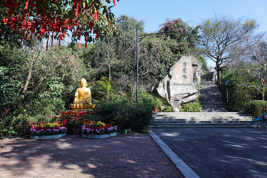 【2016春登广州白云山摩星岭摄影图片】生活