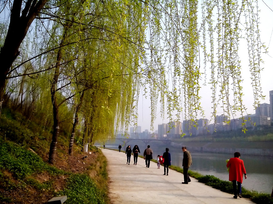 巴城滨河路(手机)