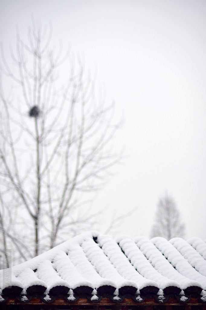 落雪无声
