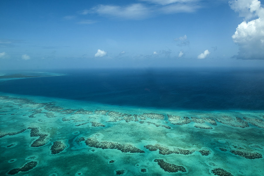 【16伯利兹-加勒比海珊瑚礁摄影图片】国外摄影_太平洋电脑网摄影部落