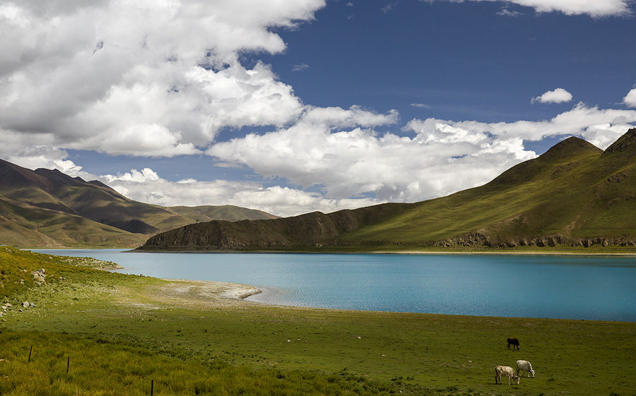 【西藏圣湖羊卓雍错风光摄影图片】国内摄影