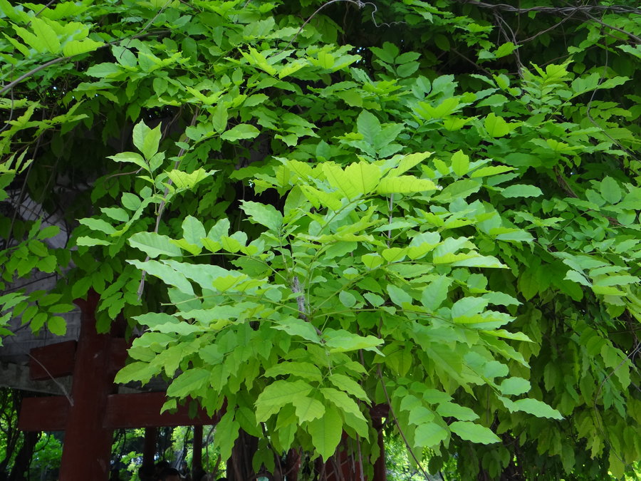 【氧之源摄影图片】西工游园风光旅游摄影_太