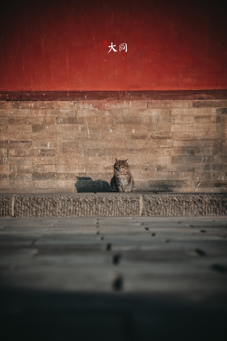 天下大同