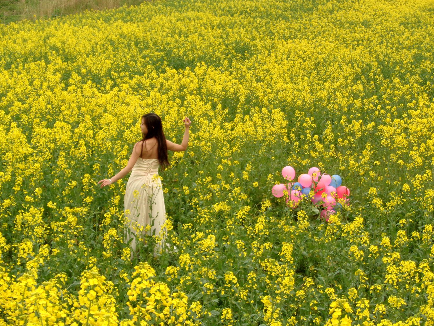 美女摄影：鲜花娇艳，美女如花