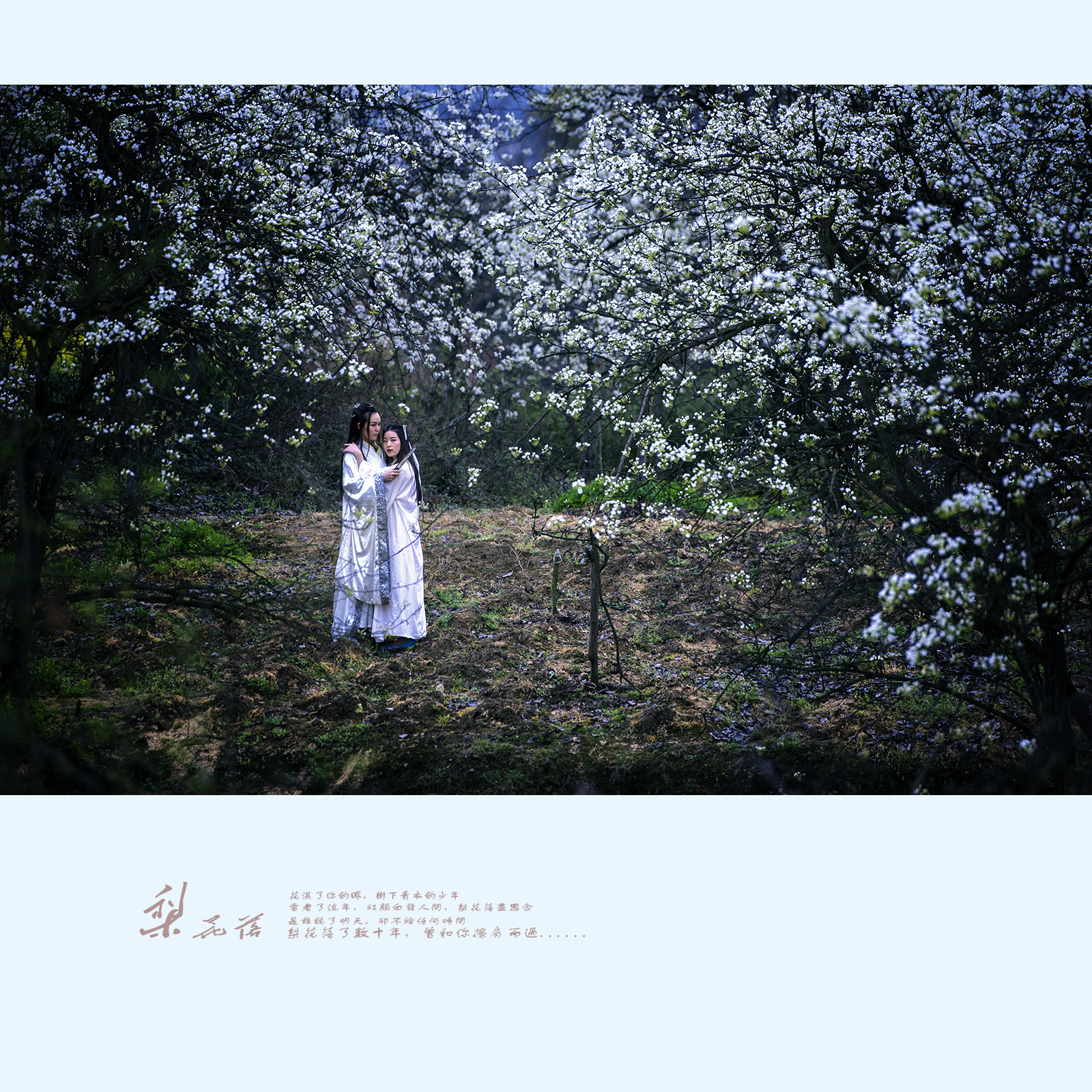 《梨花落》