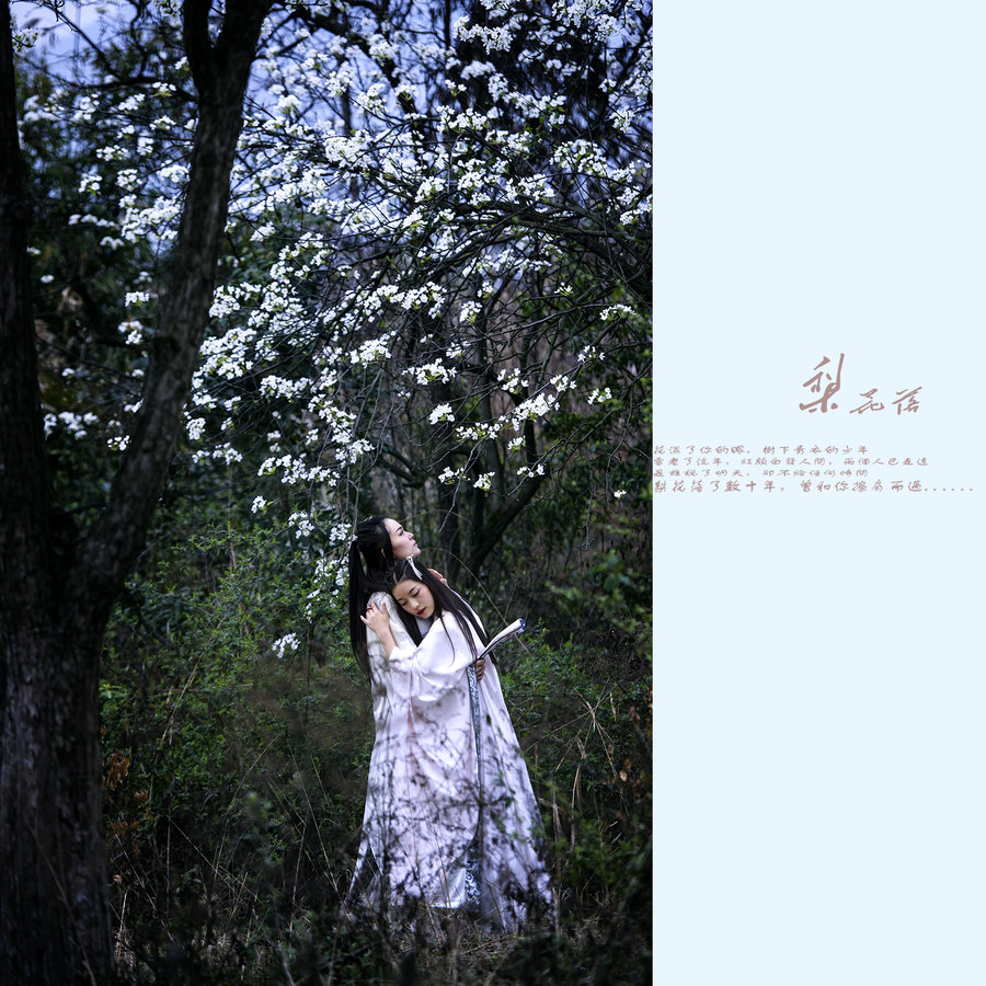 《梨花落》