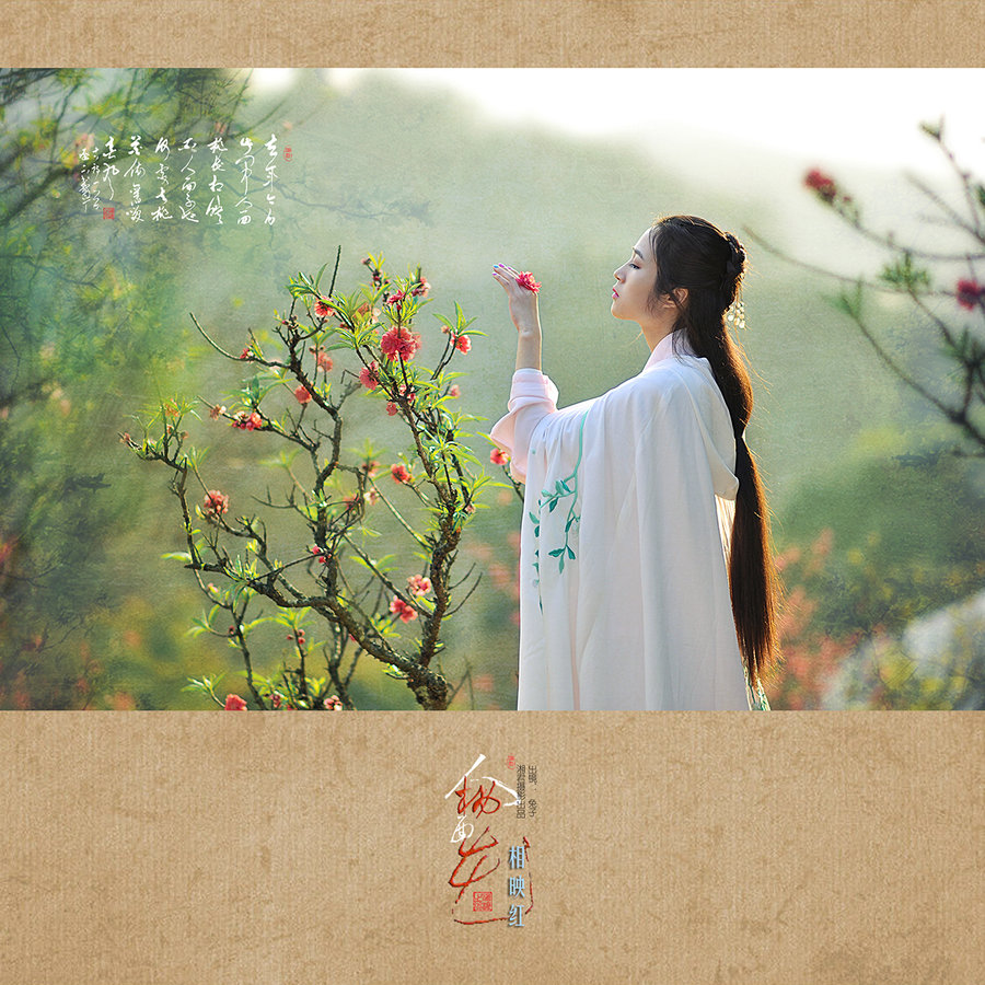 人面桃花