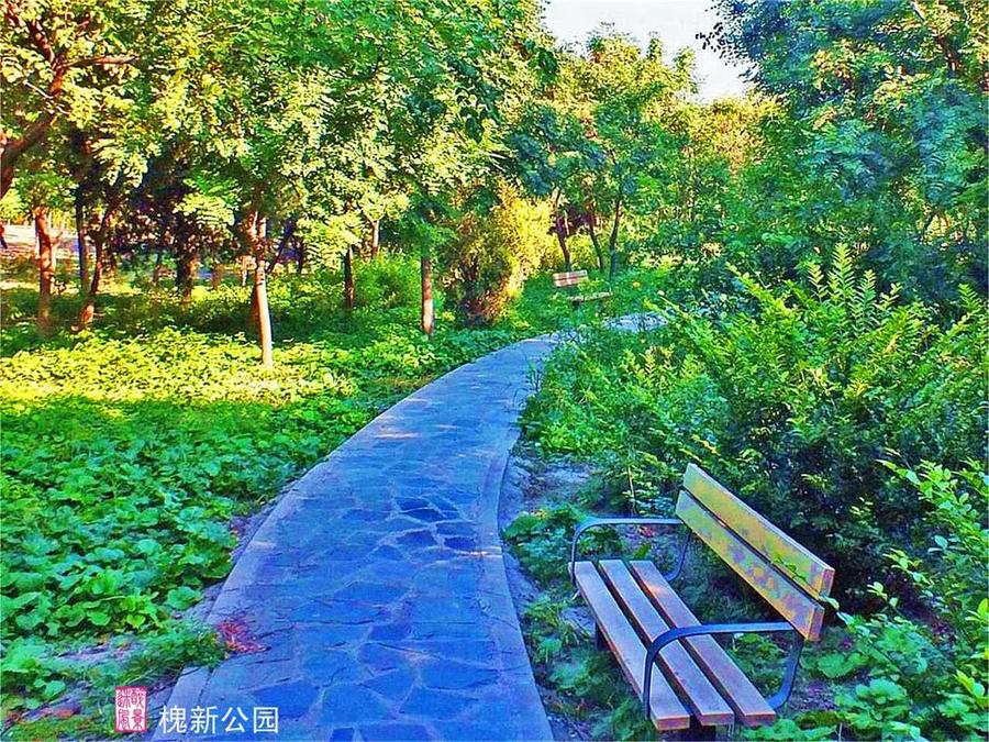 【北京的南郊6摄影图片】槐新公园风光摄影_太平洋网