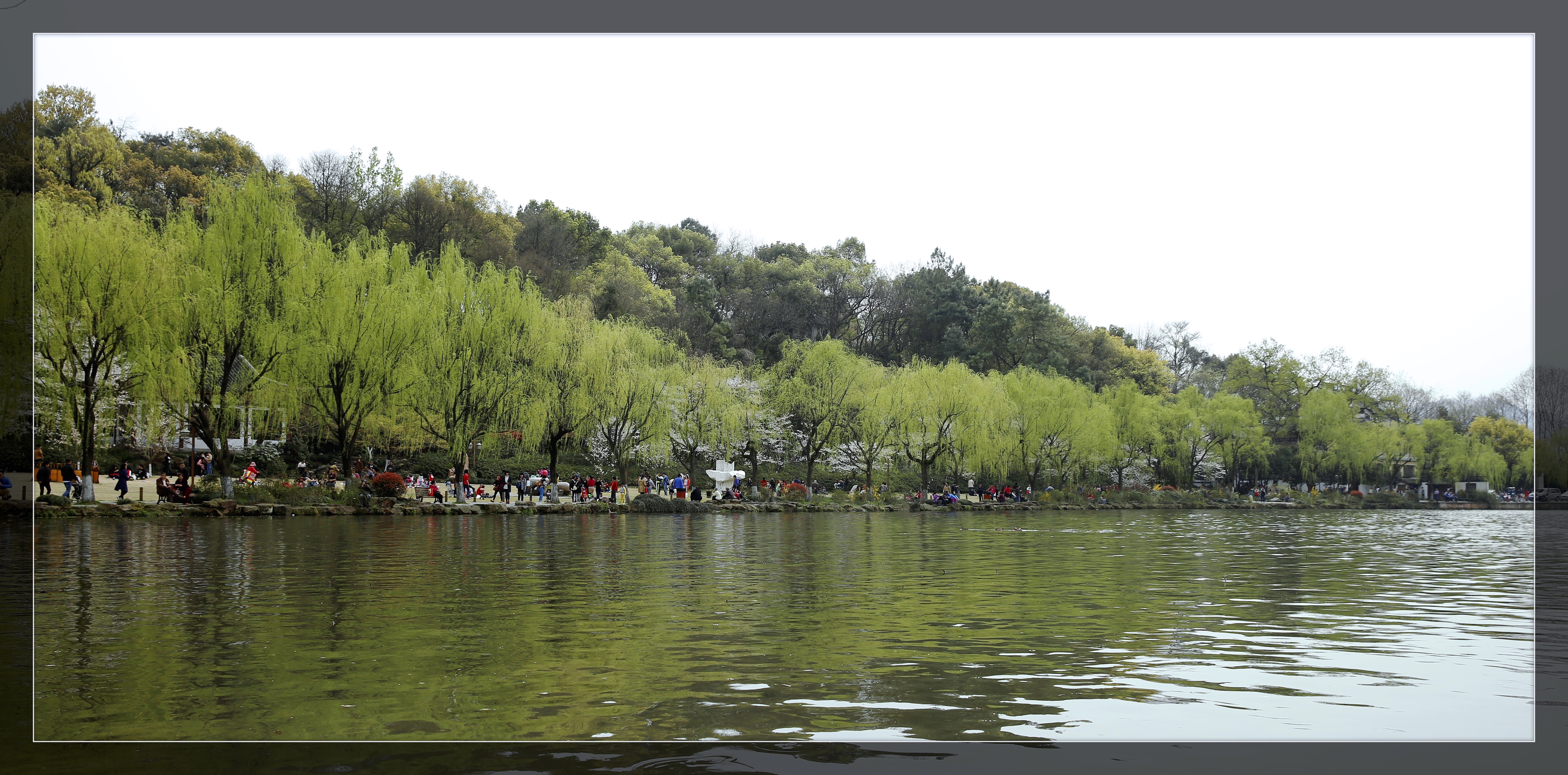 春风又绿江南岸