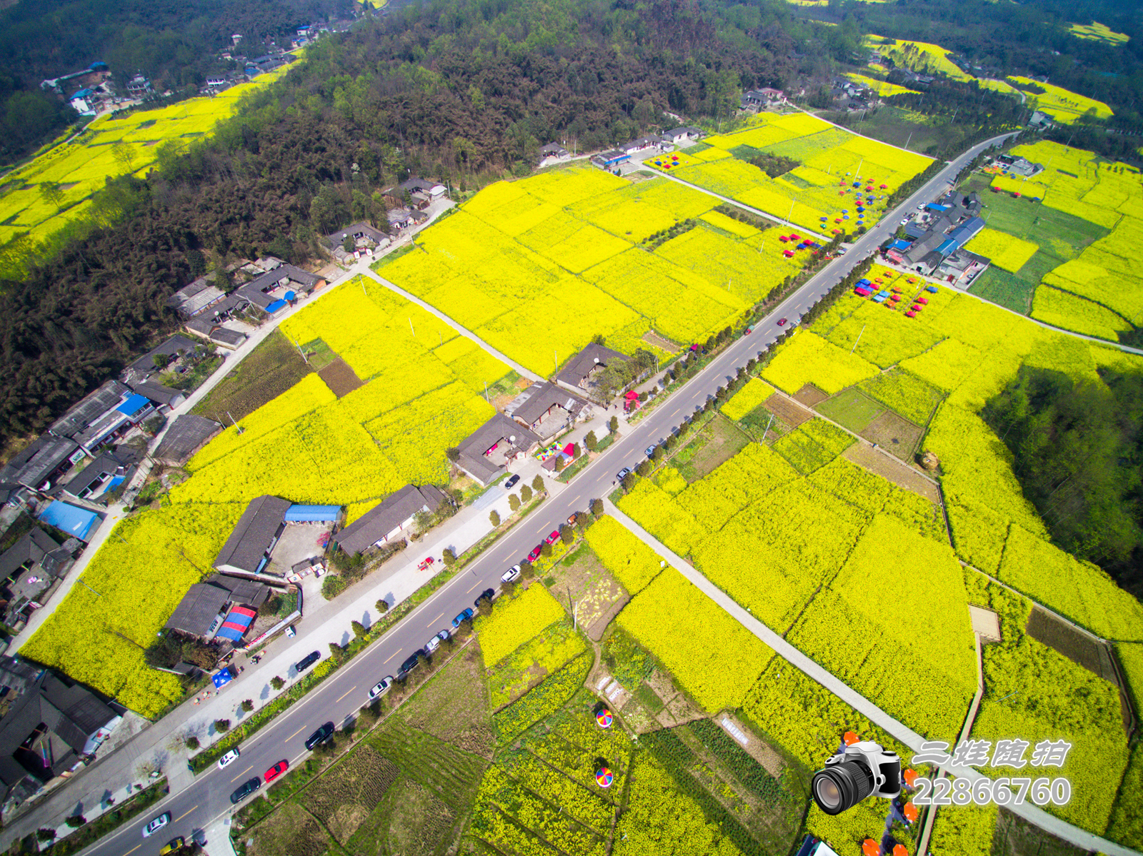 中国最美乡村公路重庆路