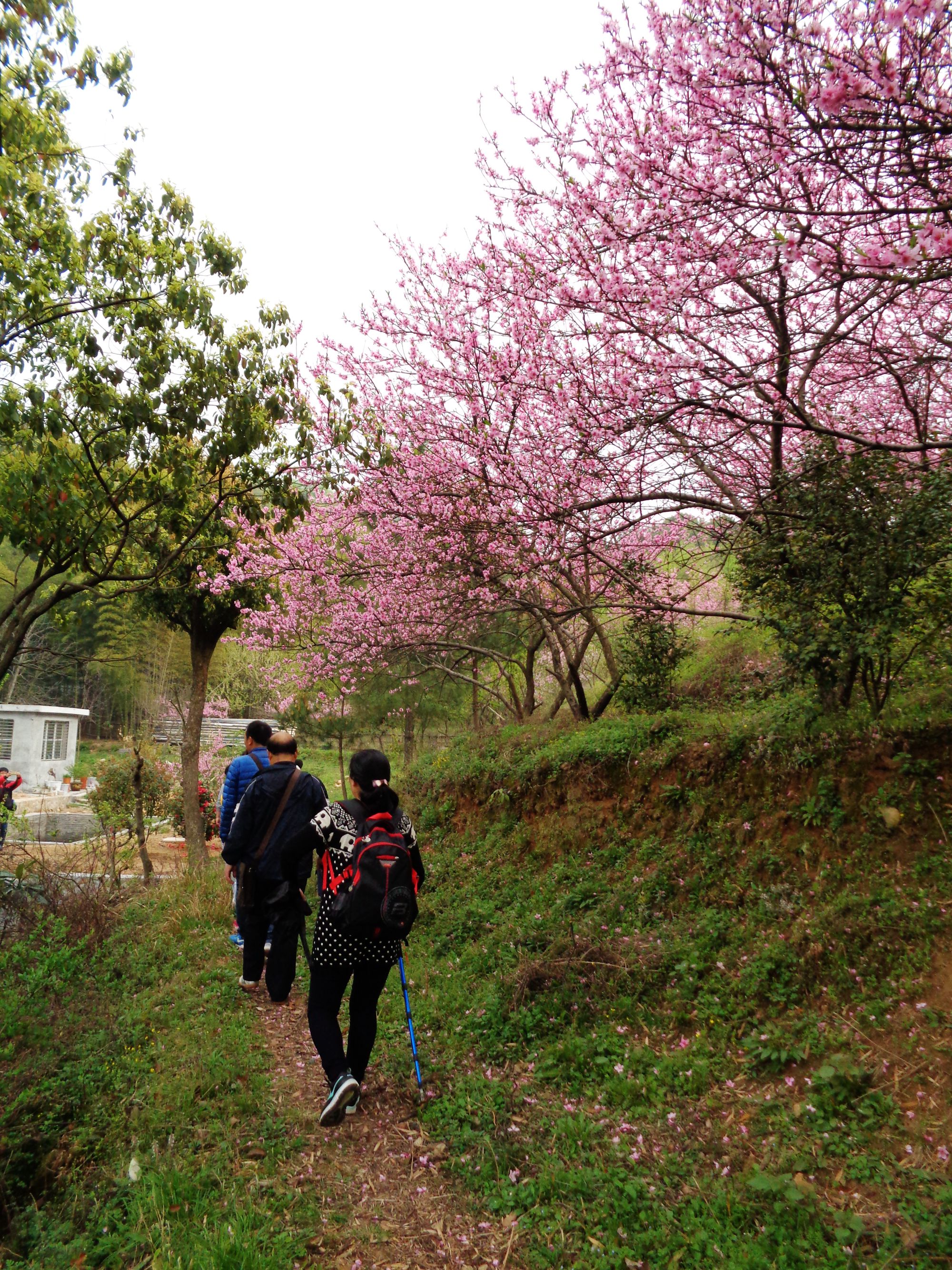 春游东方山