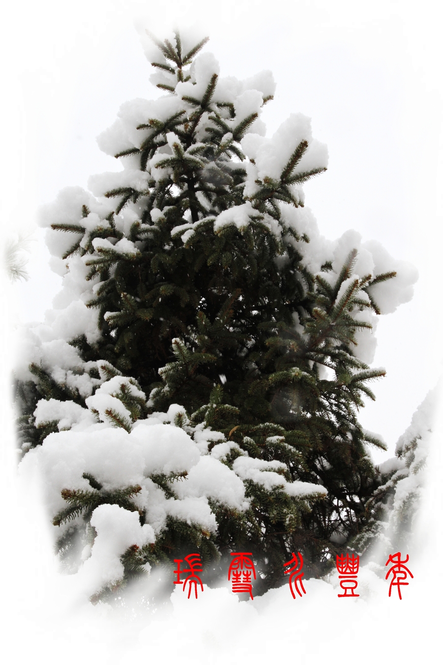 瑞雪兆丰年