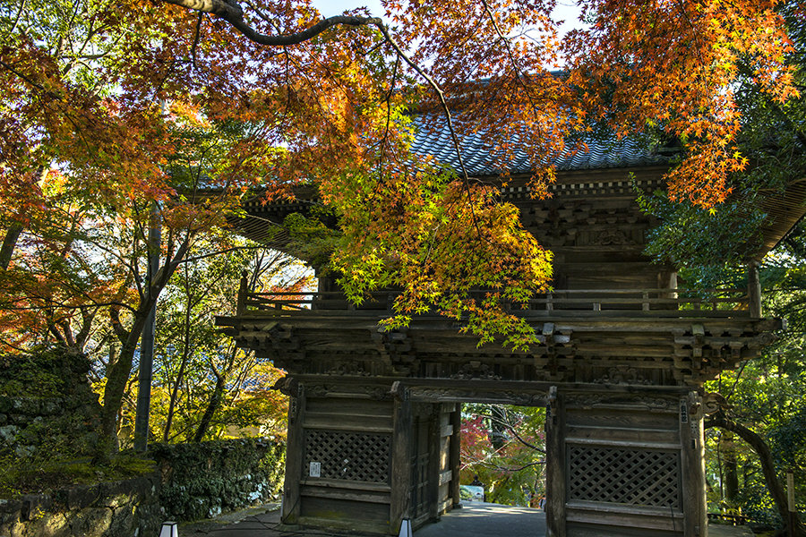 16日本之秋-高知竹林寺