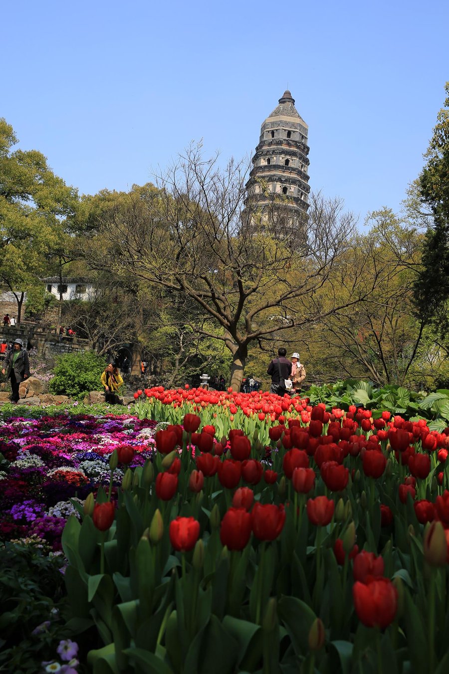 春到虎丘
