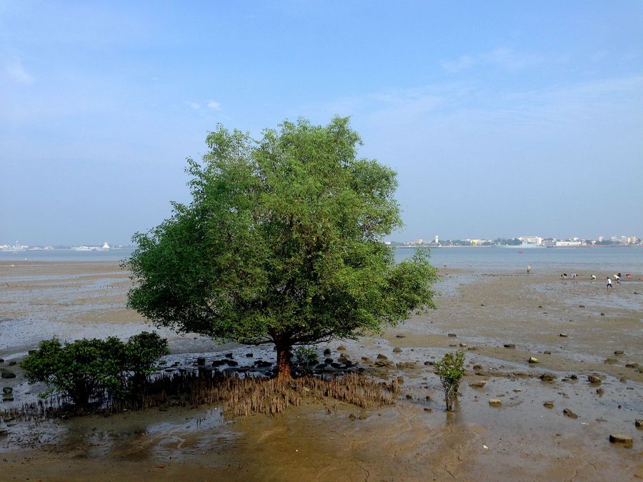 湛江风情之霞山区海滨公园