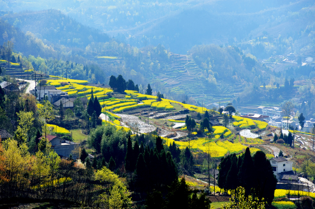 陕西汉阴凤堰古梯田