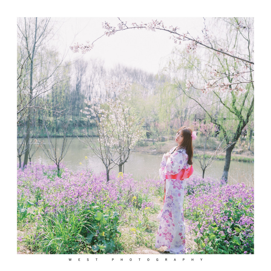 【花开花落】一人で花见