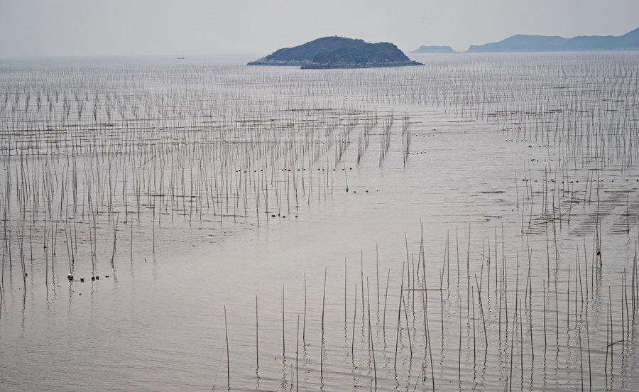 海田与赶海人