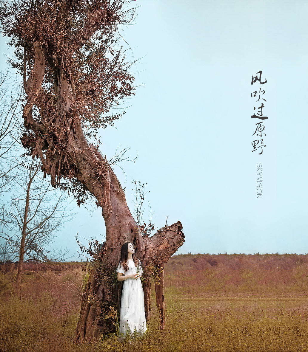 风吹过原野