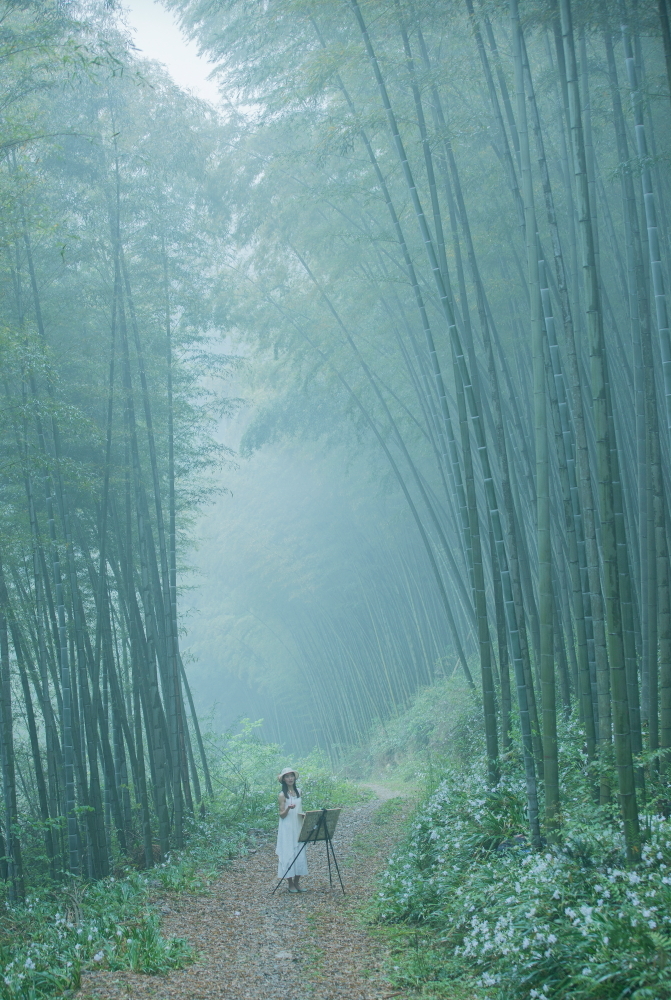 【雨后竹林摄影图片】人像摄影_太平洋电脑网摄影部落