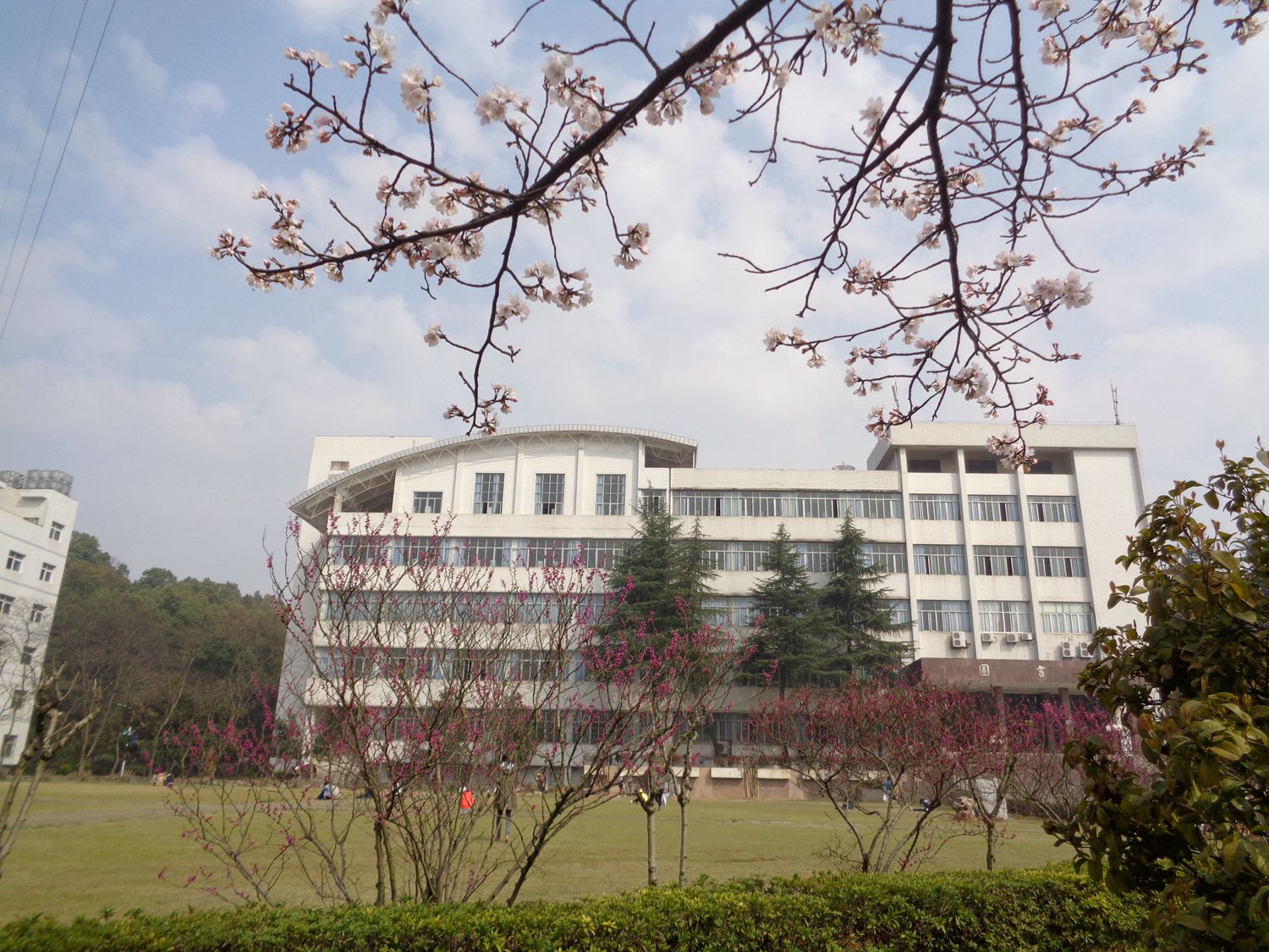 湖北师范大学