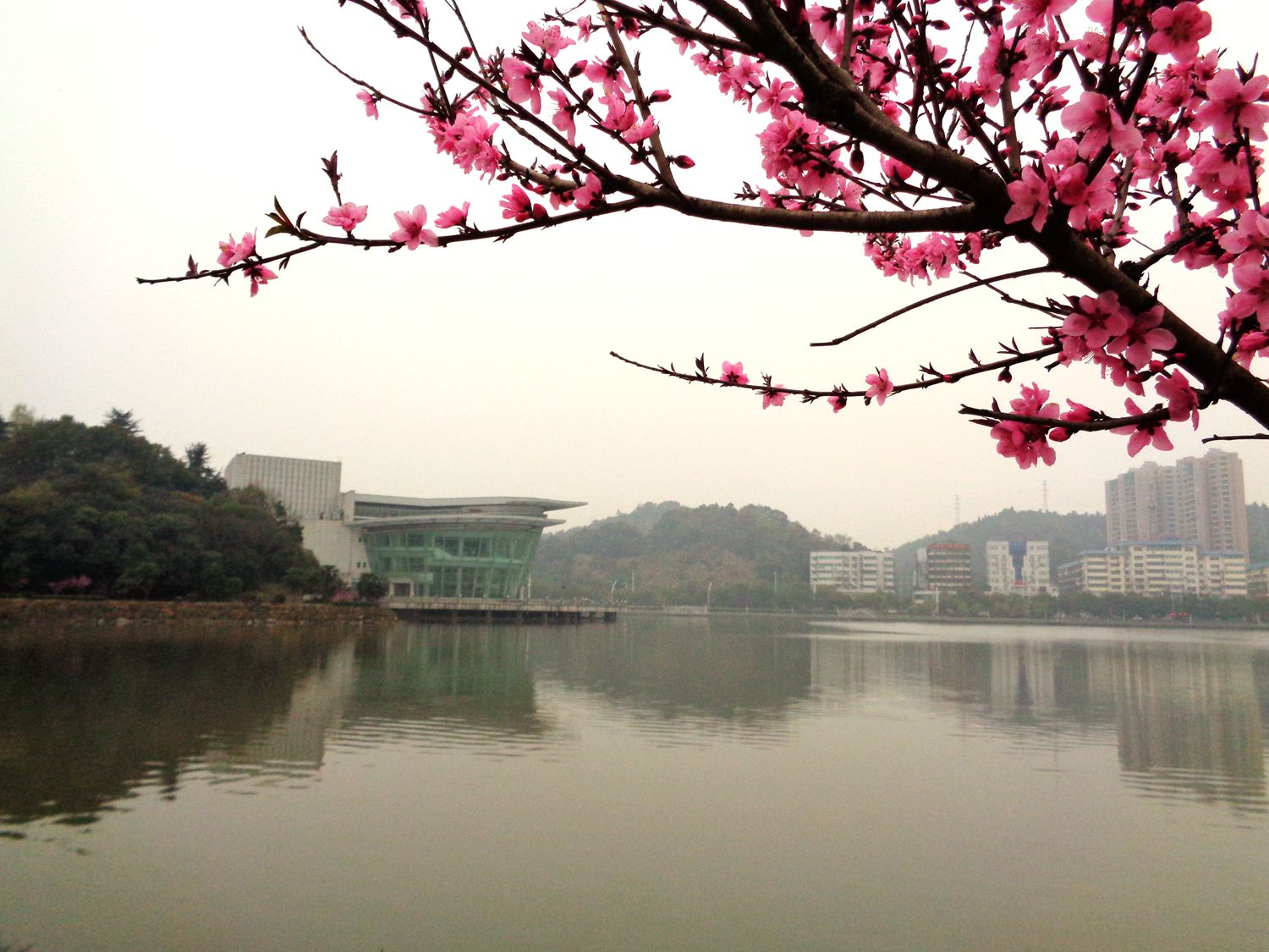 湖北师范大学