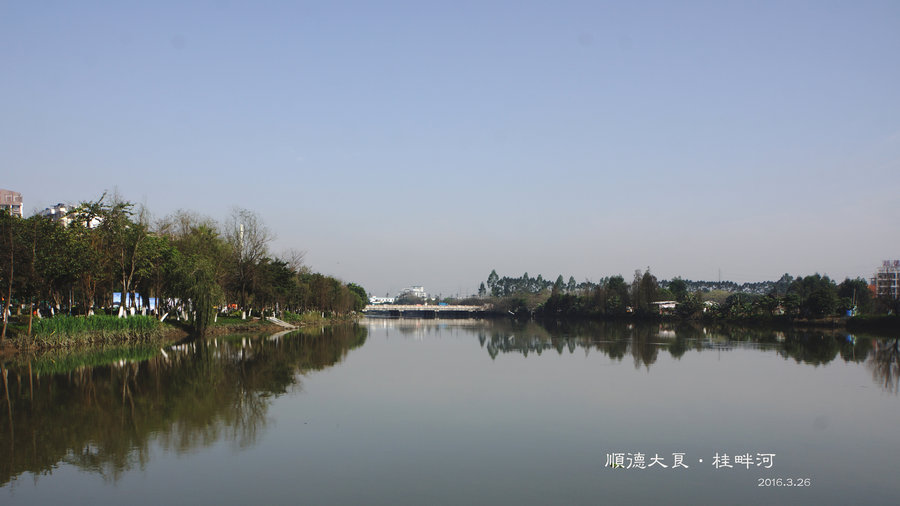 【桂畔河风光(3)摄影图片】顺德大良风光摄影_辉ge的春天_太平洋电脑