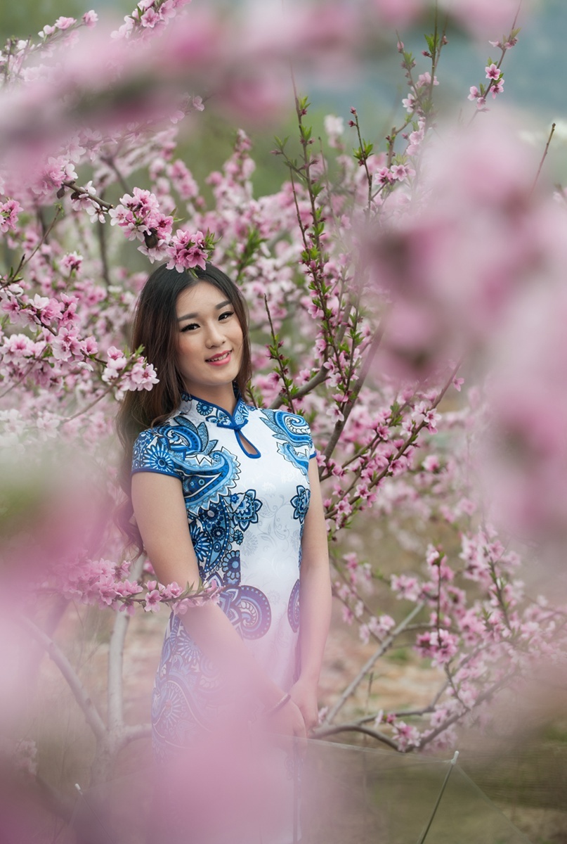 人面桃花