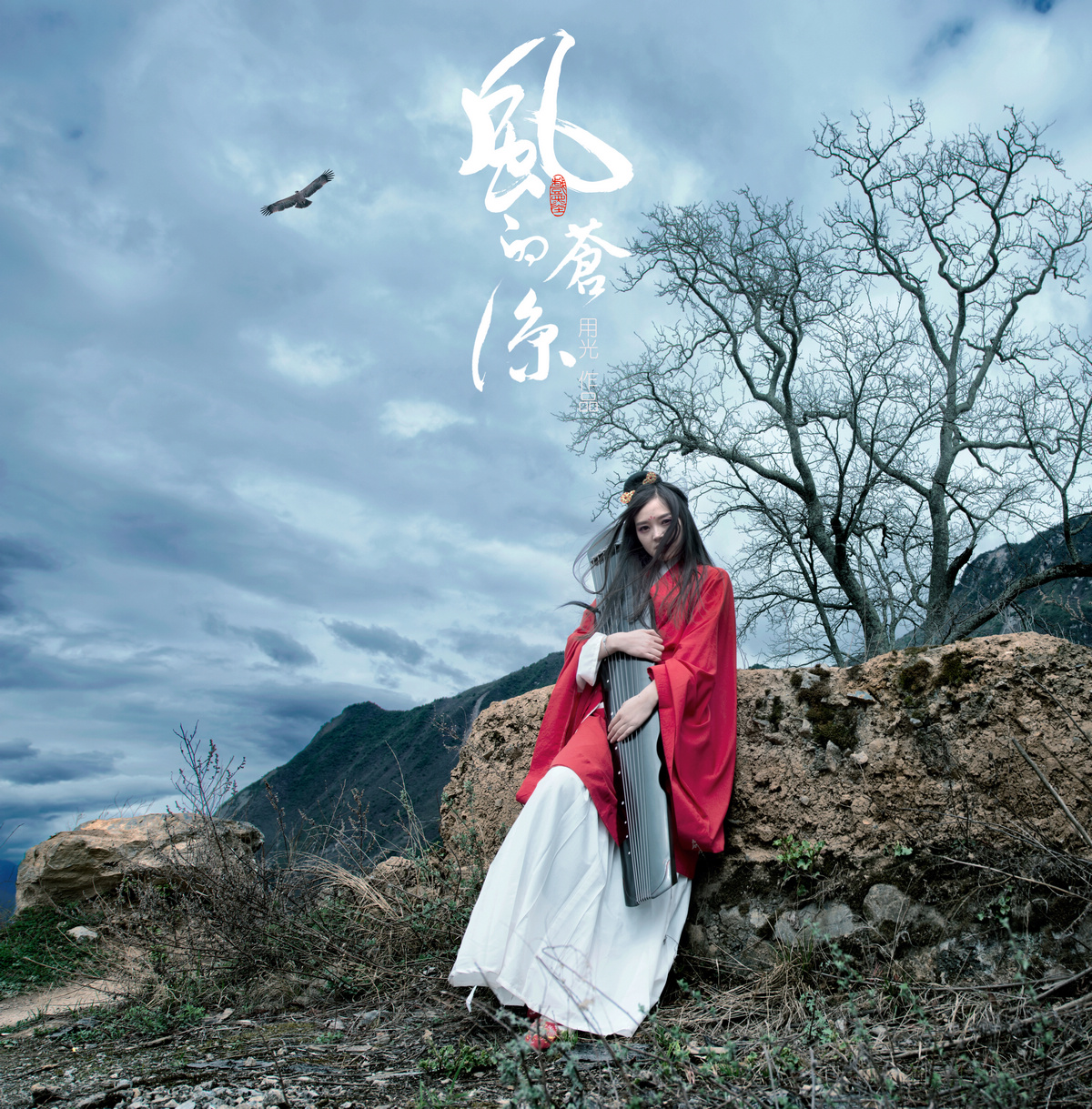 《风的苍凉》