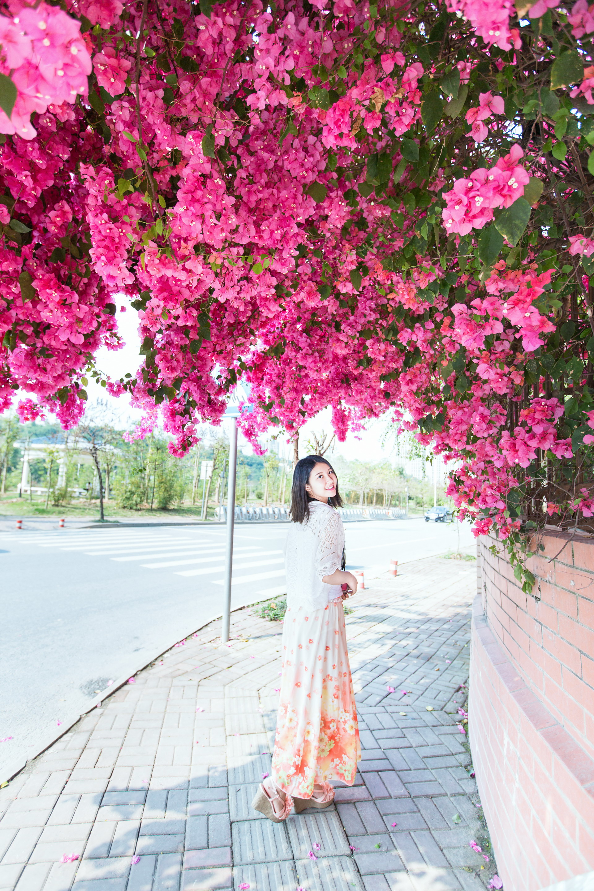 【花开花落】那抹花香