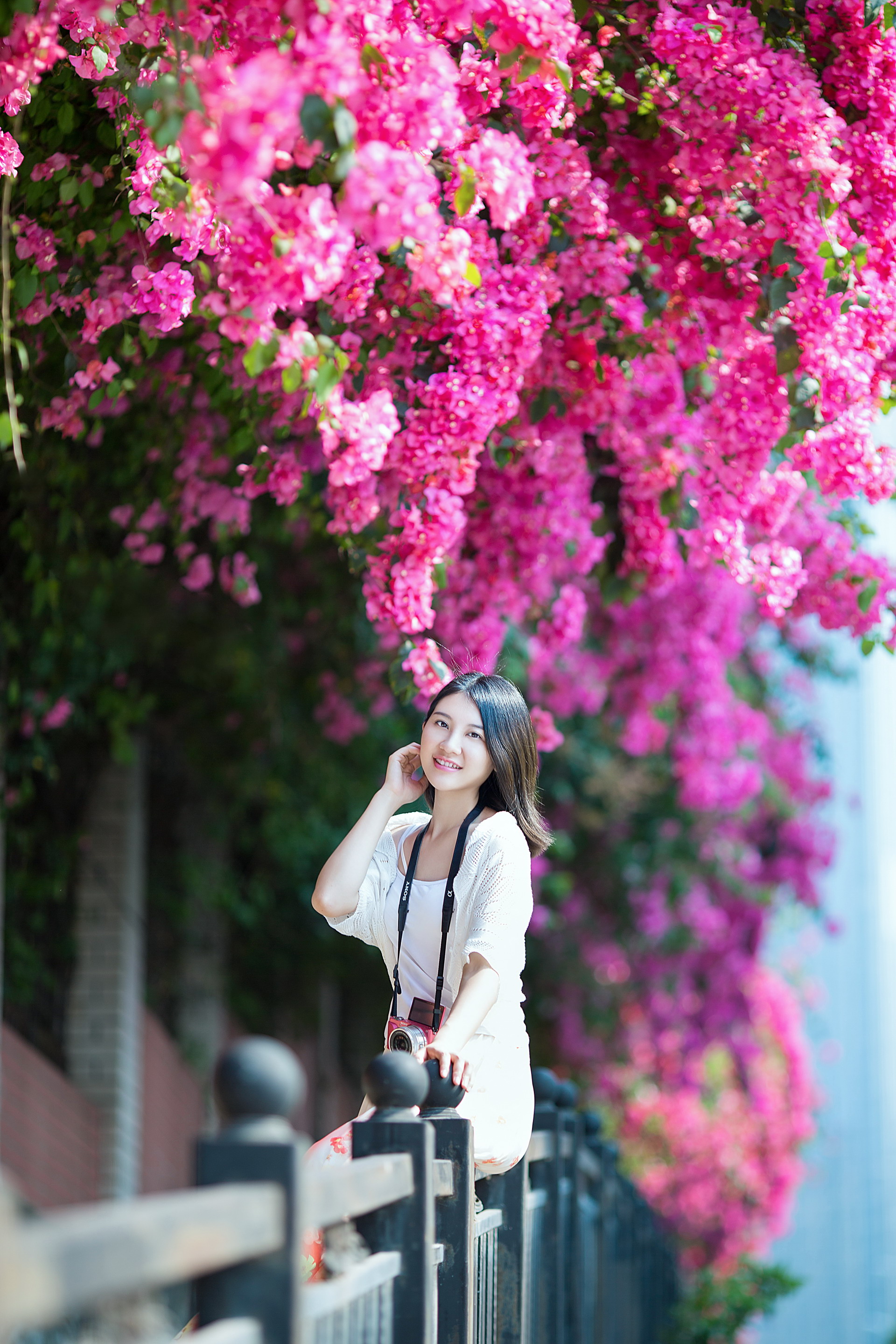 【花开花落】那抹花香