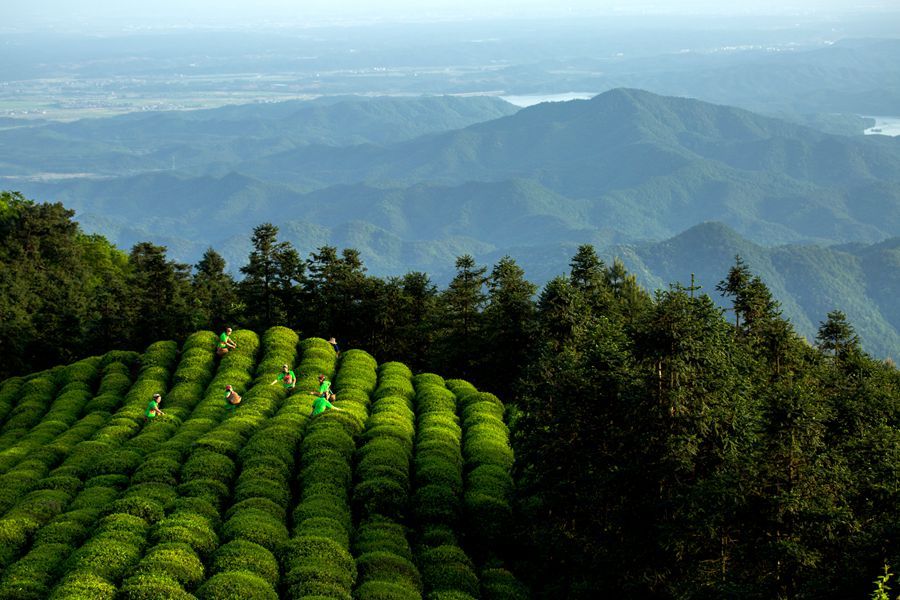 云居山