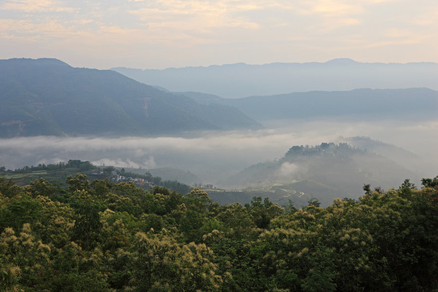 五月的黄连山景色