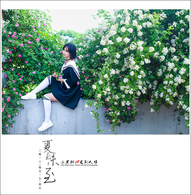 夏至未至图片