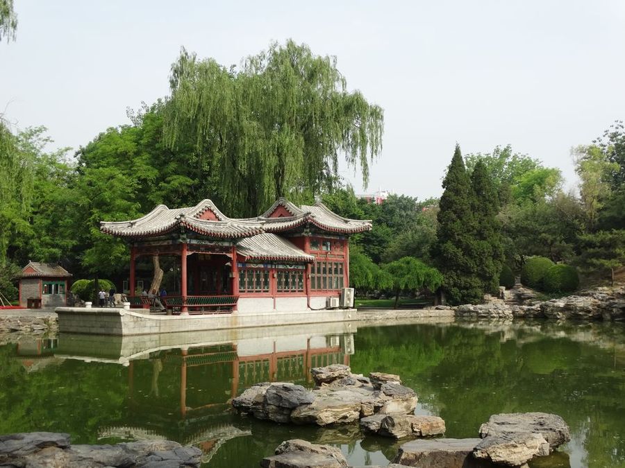 手机看图 作品简介               日坛公园越来越美,北京越来越美.