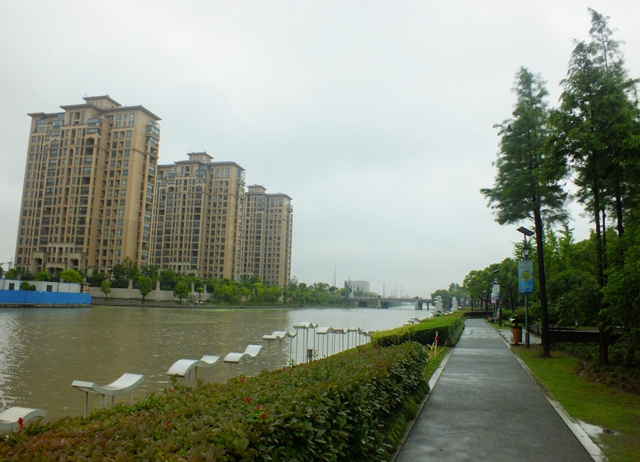 雨中上海市嘉定菊园北水湾