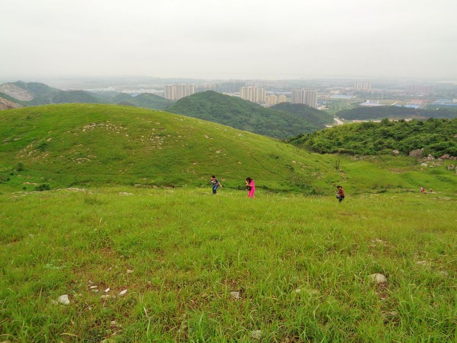 黄石黄荆山草甸