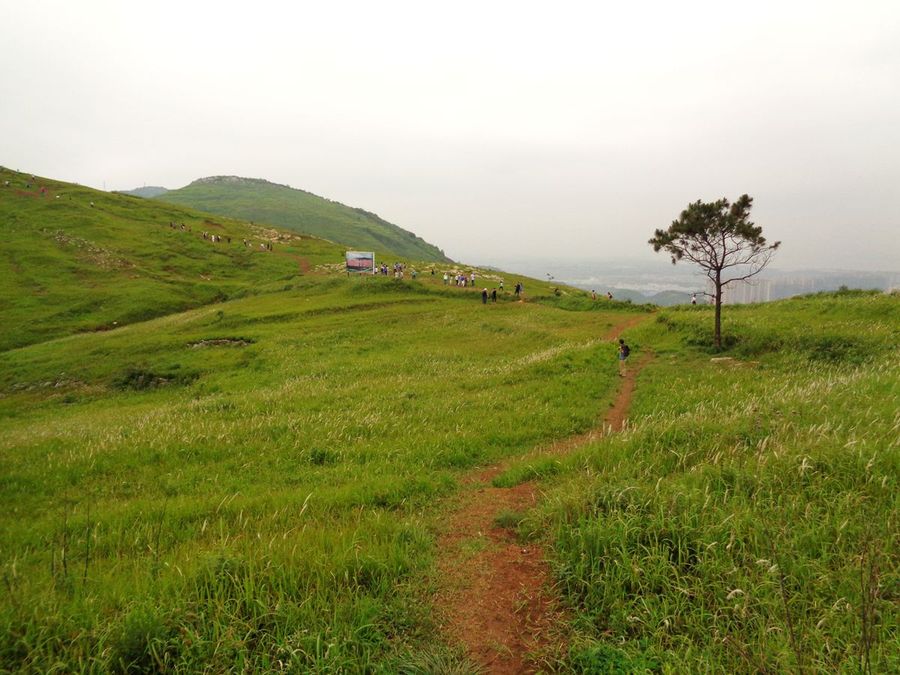 黄石黄荆山草甸