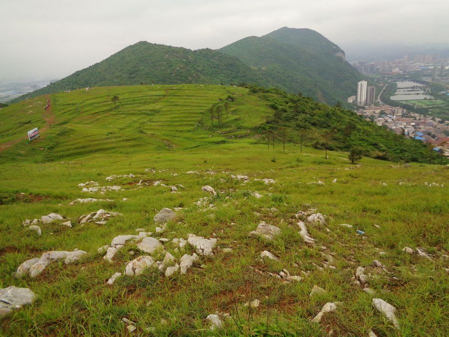 黄石黄荆山草甸