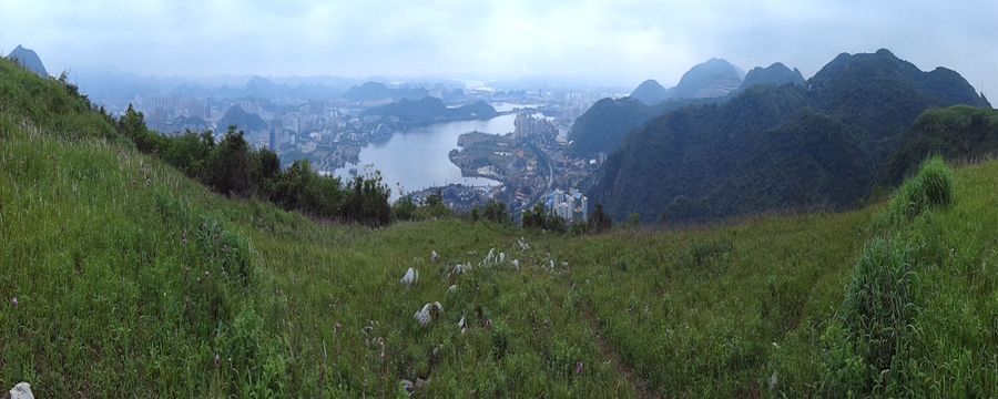 黄石黄荆山草甸