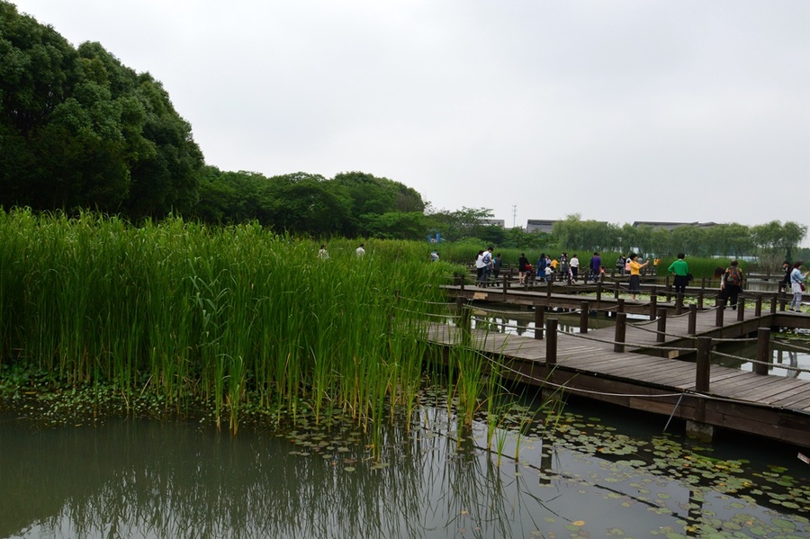 (纪实实拍组图)昆山花桥天福国家生态湿地公园