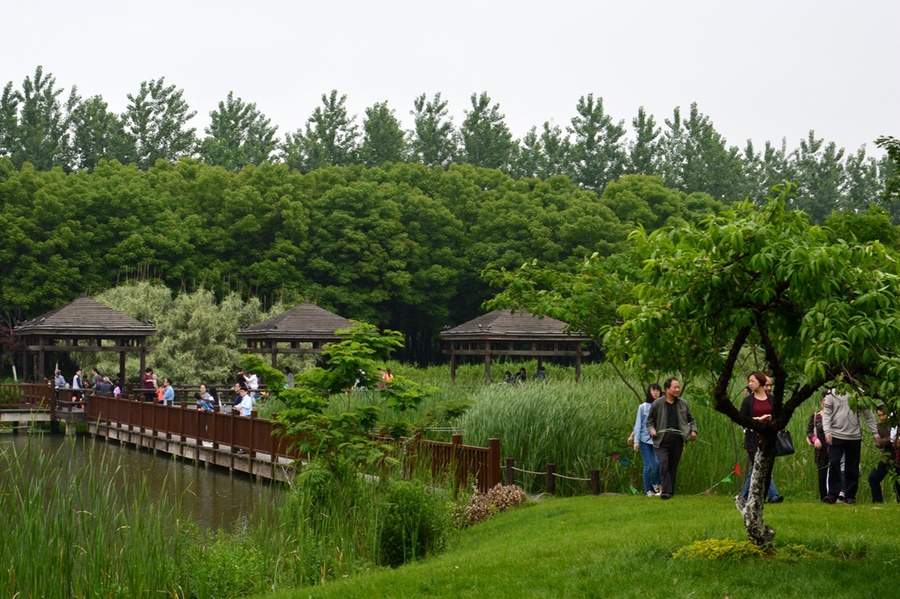 (纪实实拍组图)昆山花桥天福国家生态湿地公园